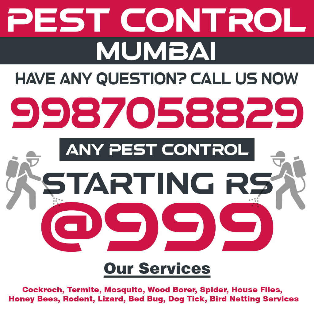 Pest Control Ambivli
